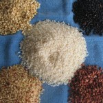 rice2