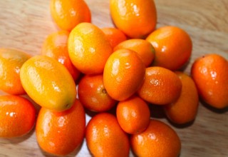 kumquatsweb
